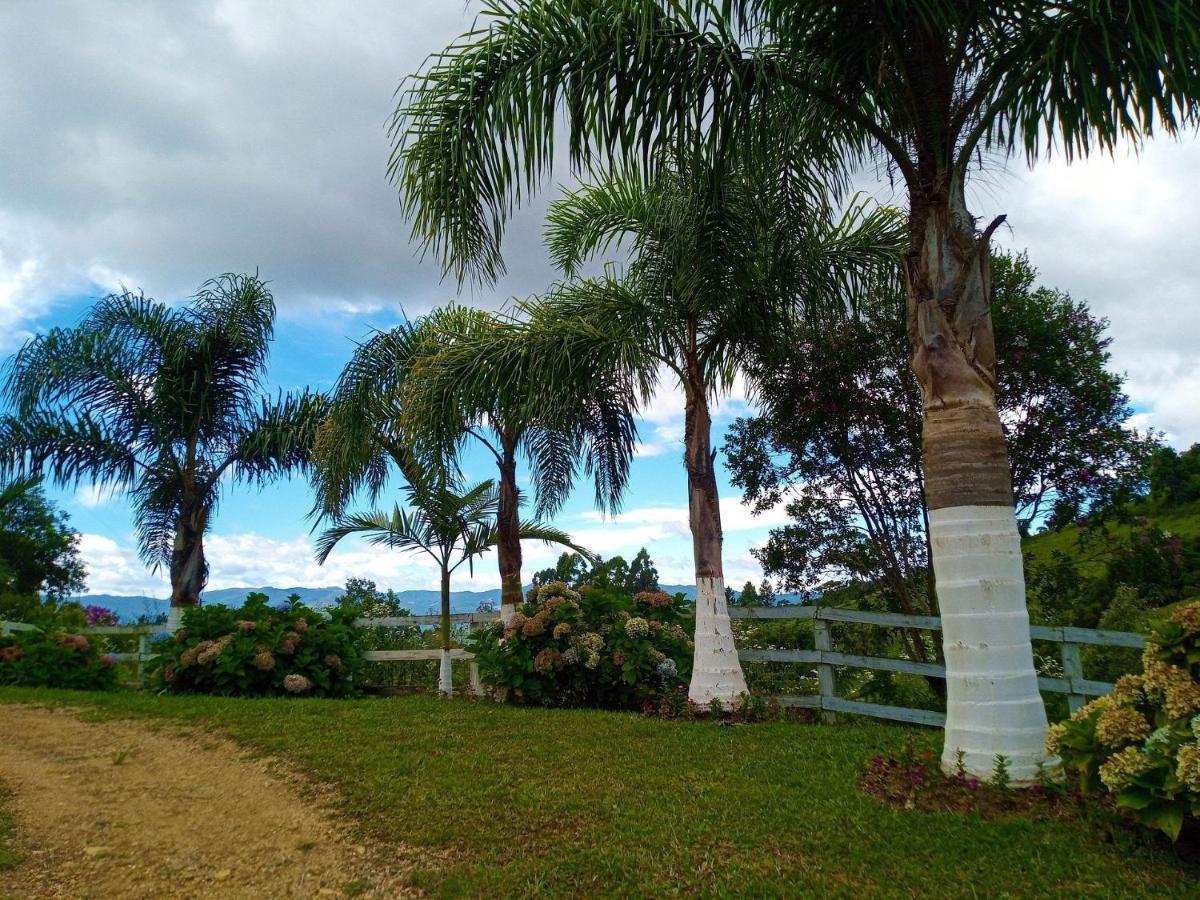 Sitio Pedacinho Do Ceu Na Serra Catarinense Rancho Queimado Kültér fotó